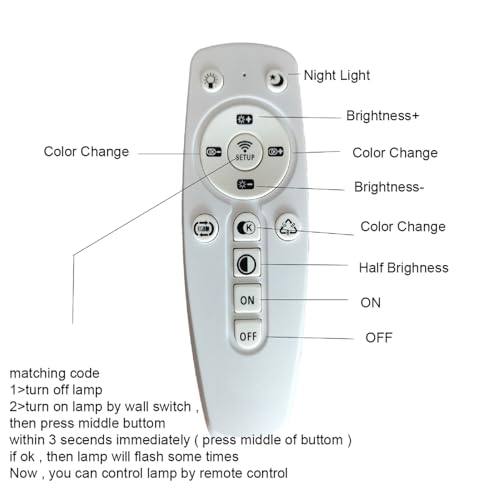 Modern LED Ceiling Light Fixture