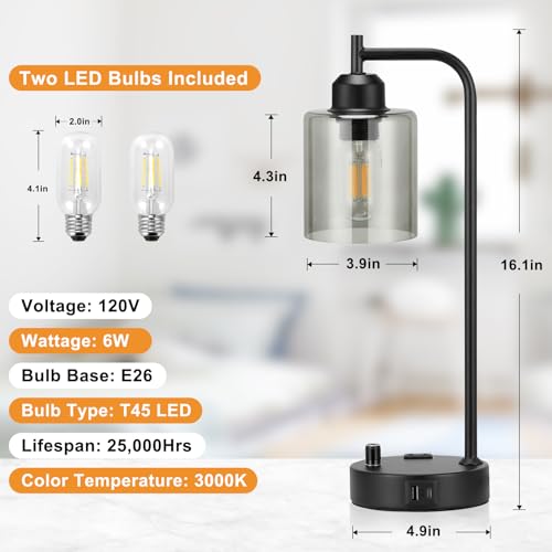 Industrial Desk Lamps for Office Set of 2 (2 Count)
