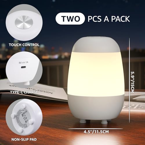 2 Pack Rechargeable Small Night Light Touch Dimmable Cordless Lamp (2 Count)