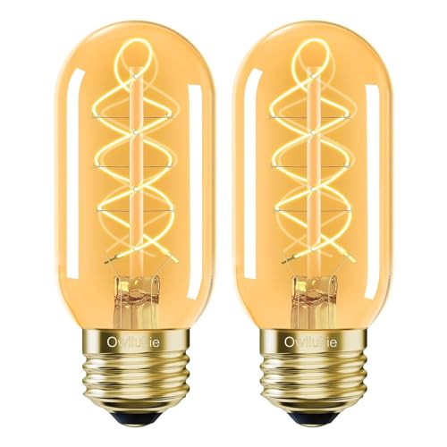 E26 LED Bulb 4W Equivalent 40 watt (2 Count)