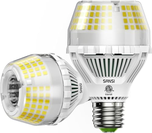 300W Equivalent 5000 Lumens LED Light Bulb (2 Count)