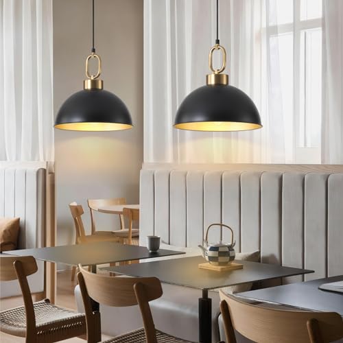 2 Pack Black Hanging Pendant Light Fixture (2 Count)