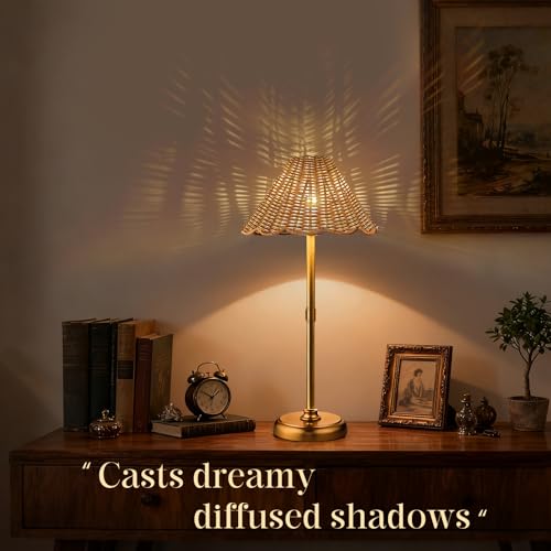 20.5'' Tall Cordless Boho Rattan Table lamp