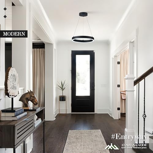 12in LED Ring Chandelier Black Modern Dimmable Pendant Light