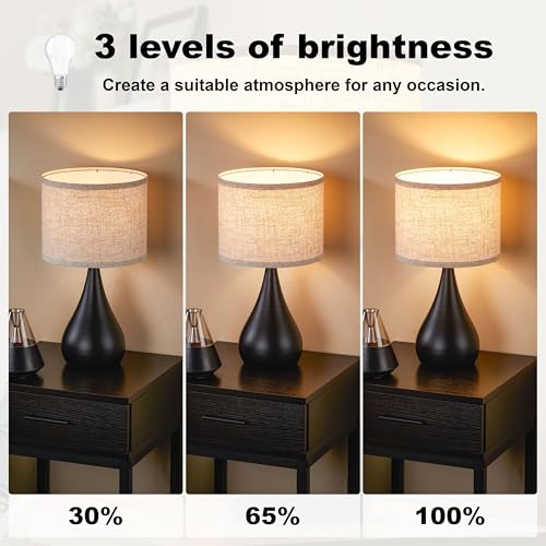 18.1'' Modern Touch Black Table Lamp Set of 2 with 3 Way Dimmable (2 Count)
