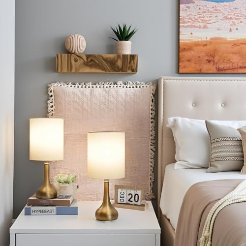 Set of 2 Bedside Touch Lamps (2 Count)
