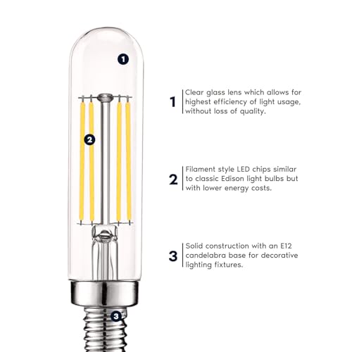 Vintage E12 LED Bulb 60W Equivalent (12 Count)
