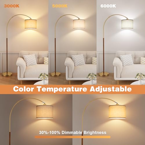 Dimmable Arc Floor Lamp with Remote