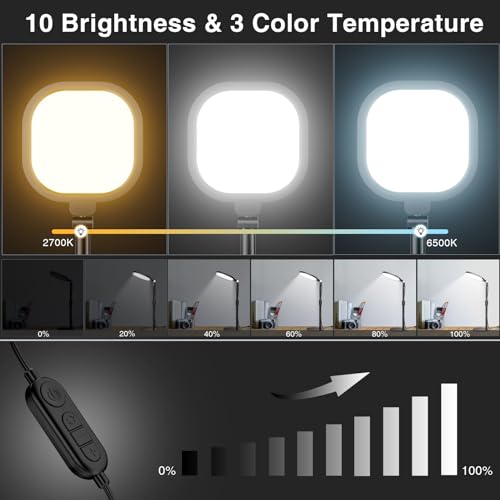 2 Packs Video Conference Lights for Computer Zoom