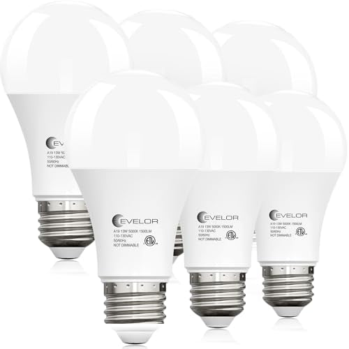 6 Packs A19 LED Light Bulbs (6 Count)