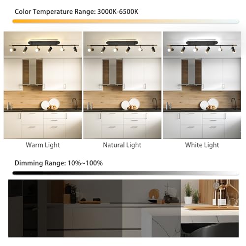 Modern LED Ceiling Lights