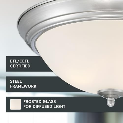Flush Mount Ceiling Light (2 Count)
