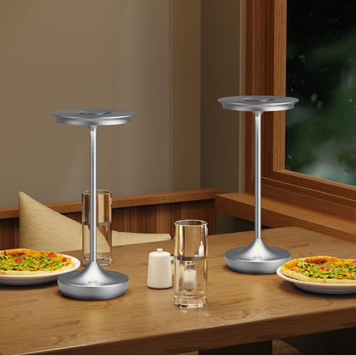 LED Cordless Table Lamp 6000mAh Rechargeable Battery Outdoor Light Silver