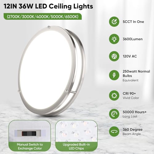 2 Pack 12 Inch Flush Mount LED Ceiling Lights (2 Count)