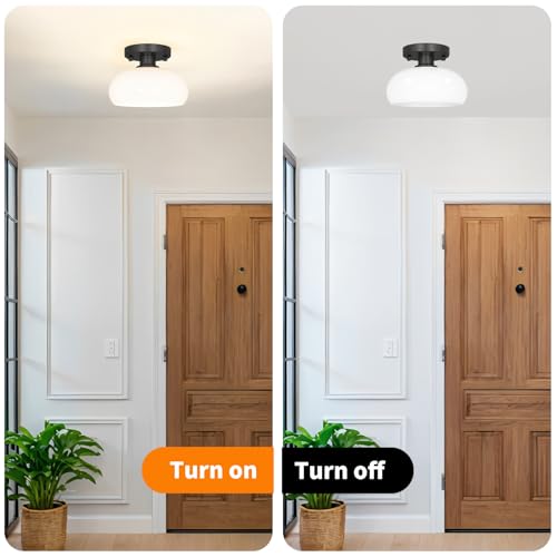 Elegant Black Semi Flush Mount Ceiling Light