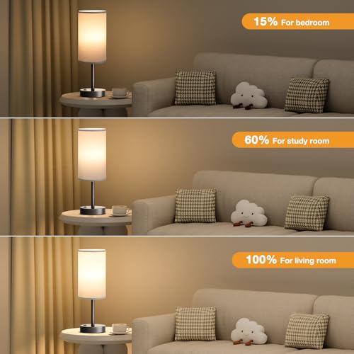 17.4" Grey Lamp for Bedroom