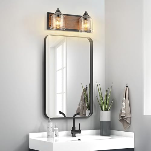 16" 2 Light Farmhouse Bathroom Vanity Light with Bubble Glass