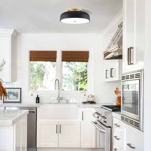 Dimmable LED Ceiling Light Fixture