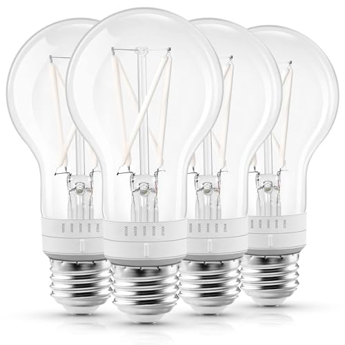 Vintage A19 LED Light Bulb 60 Watt Equivalent (4 Count)