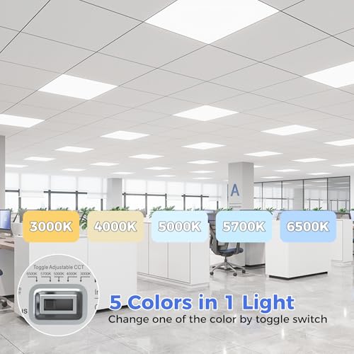 6 Pack 2x2 LED Flat Panel Light (6 Count)