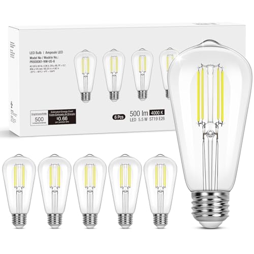 Dimmable E26 Edison LED Bulbs (6 Count)