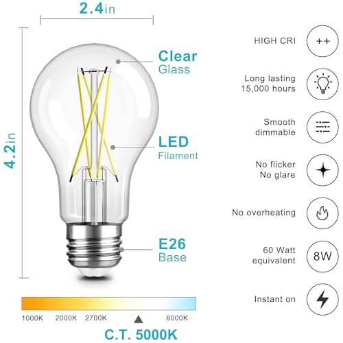 A19 LED Edison Light Bulb (6 Count)