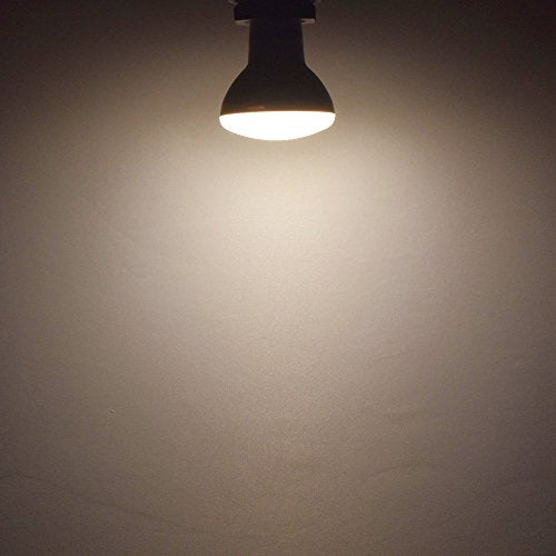 BR20 LED Light Bulb