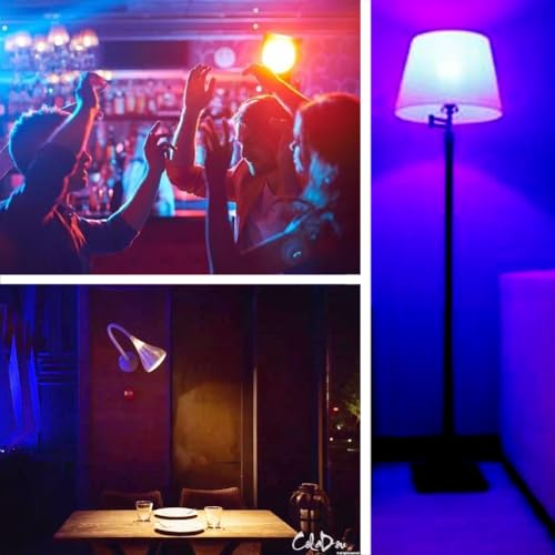 RGBCW E26 Smart Light LED Bulb with a 2.4GHz Remote Control 12W 1000lm Color Changing for Bedroom (2 Count)