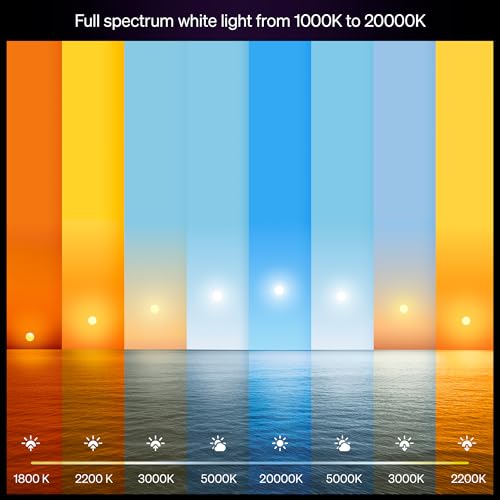 Smart LED A19 Bulb (2 Count)