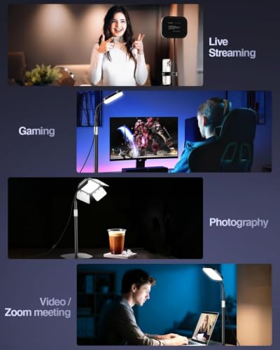 Desktop Zoom Meeting Streaming Key Light with Flexible Gooseneck