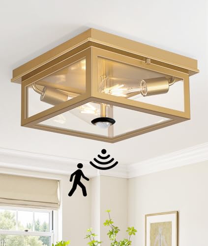 Motion Sensor Outdoor Ceiling Light with Remote