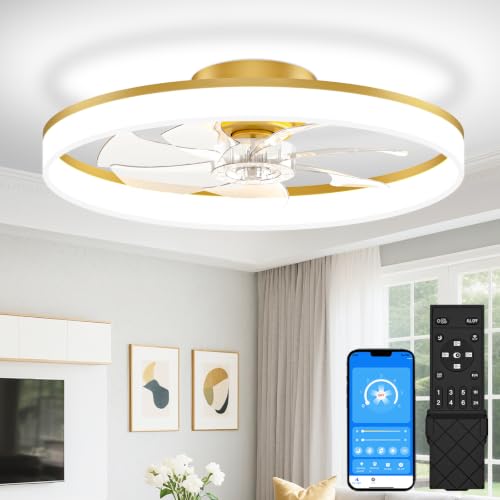 Low Profile Ceiling Fans with Lights and Remote