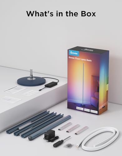 RGBIC Floor Lamp Basic
