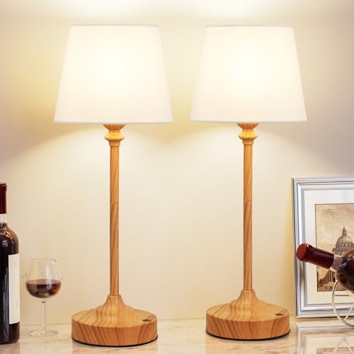 Cordless Table Lamps Rechargeable Set (2 Count)