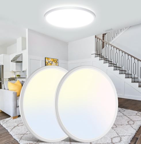 15Inch Large LED Ceiling Light Flush Mount (2 Count)