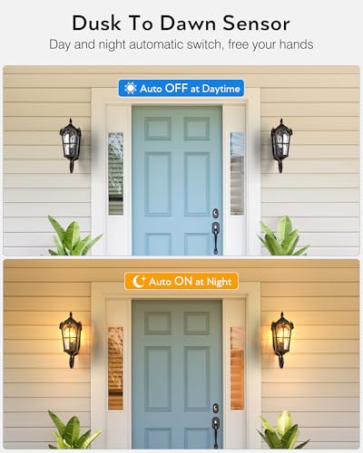 Outdoor Wall Light