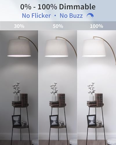 A19 Daylight Edison Bulbs (6 Count)