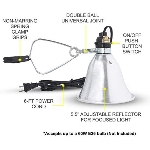 HIWKLTCLAMPLIGHTSX6 6