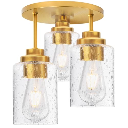 Semi Flush Mount Ceiling Light