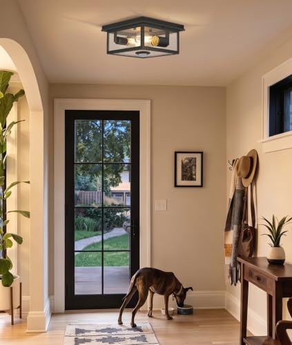 Motion Sensor Outdoor Ceiling Light with Remote
