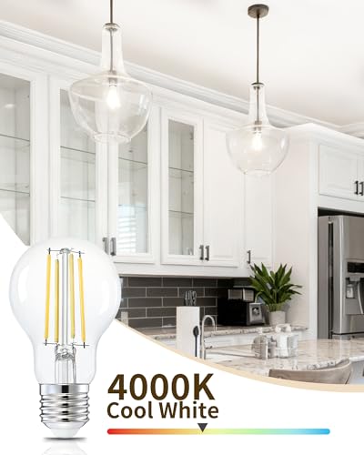 A19 Neutral White Edison Bulbs (6 Count)