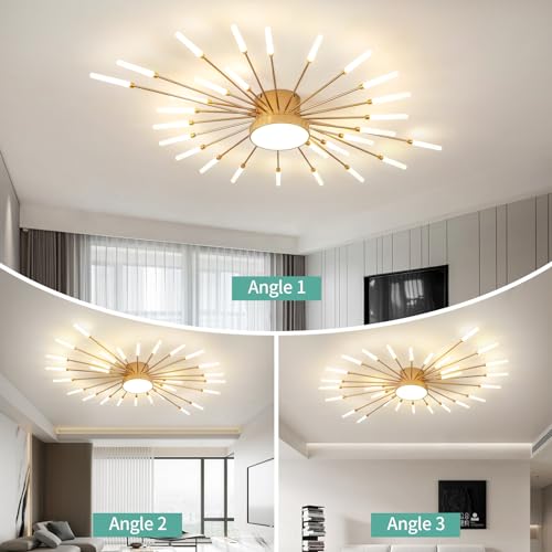 Modern Ceiling Light