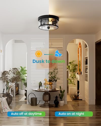 Outdoor Ceiling Light with Motion Sensor 9.3in