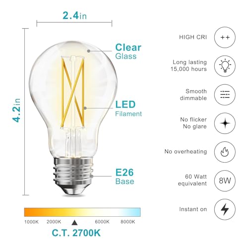 24 Pack A19 Vintage LED Edison Bulbs (24 Count)