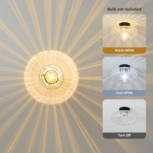 Glass Semi Flush Ceiling Lights