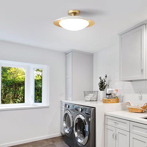 Dimmable Modern Mid