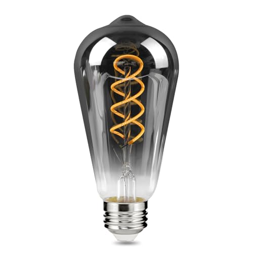 E26 ST64 Vintage Edison Light Bulbs