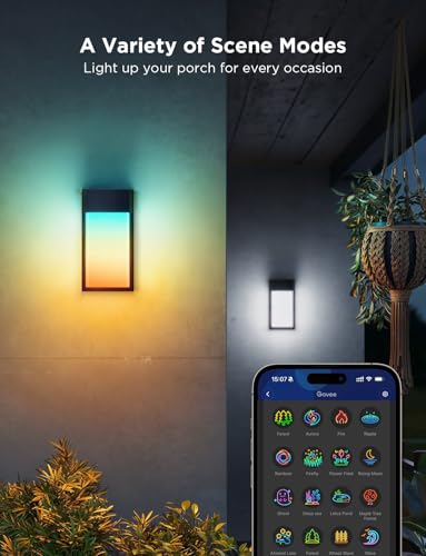 Outdoor Wall Light (2 Count)