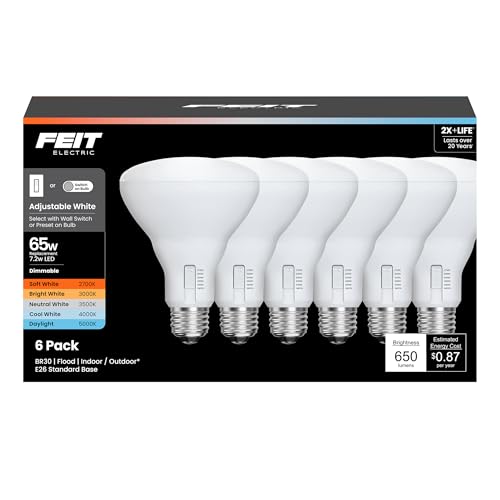 BR30 LED Light Bulbs (6 Count)
