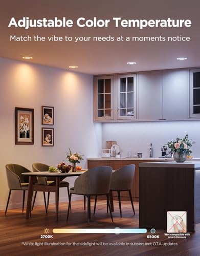 Smart Recessed Lighting